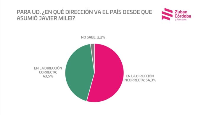 Encuesta-Zuban-Cordoba-Milei-Enero-2024-1