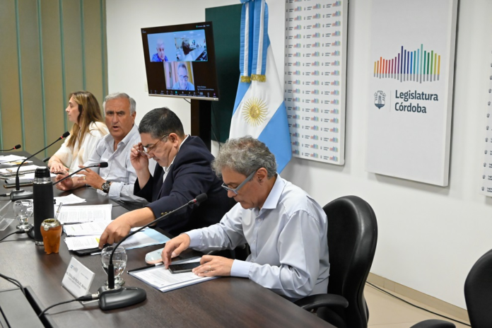 Legislador Russo comision