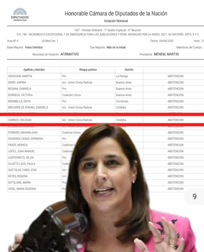 Diputada Carrizo voto jubilados